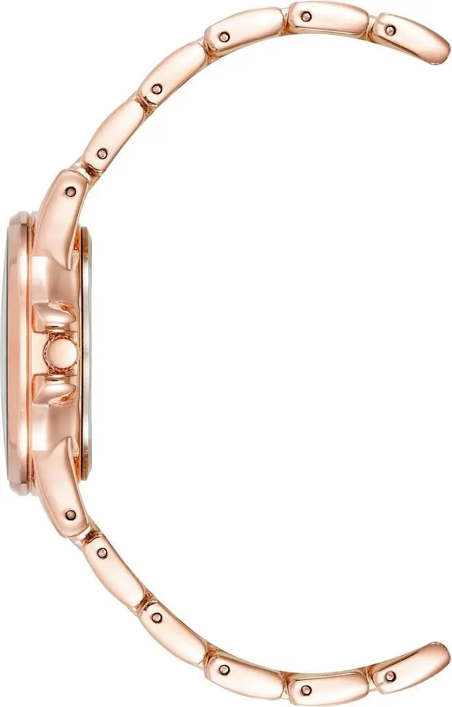 Годинник Anne Klein AK/4132AVRG - фото 3