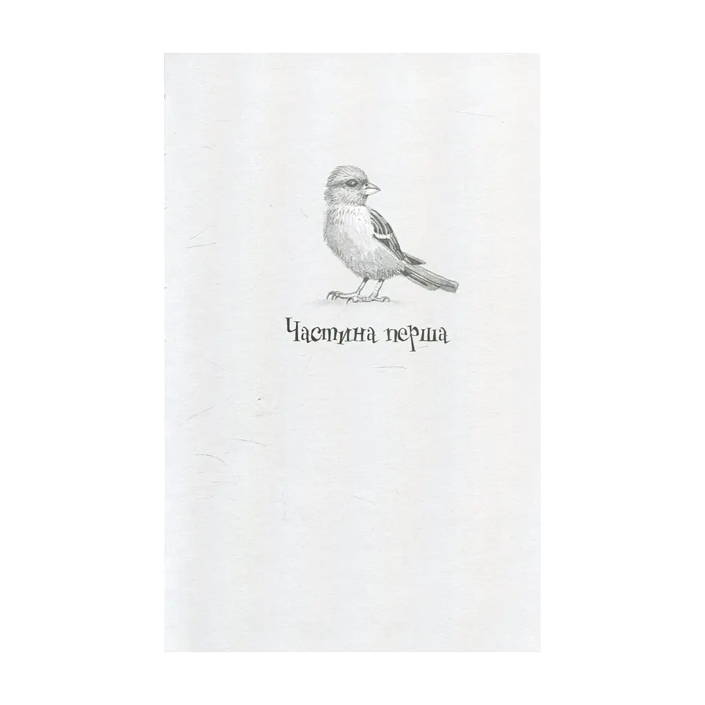 Книга Душниця - Володимир Аренєв А-ба-ба-га-ла-ма-га (9786175854273) - фото 2