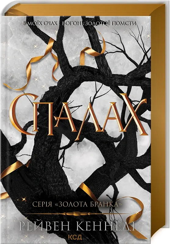 Спалах. Книга 3 - Рейвен Кеннеді - фото 3