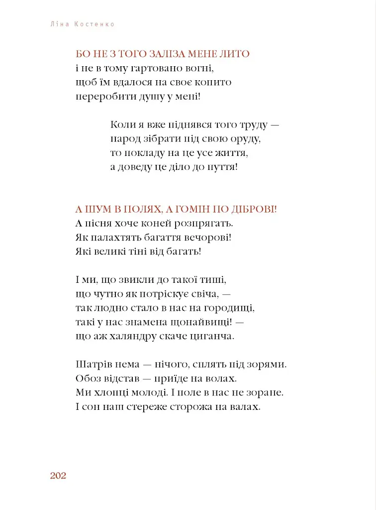 Берестечко - Ліна Костенко - фото 2