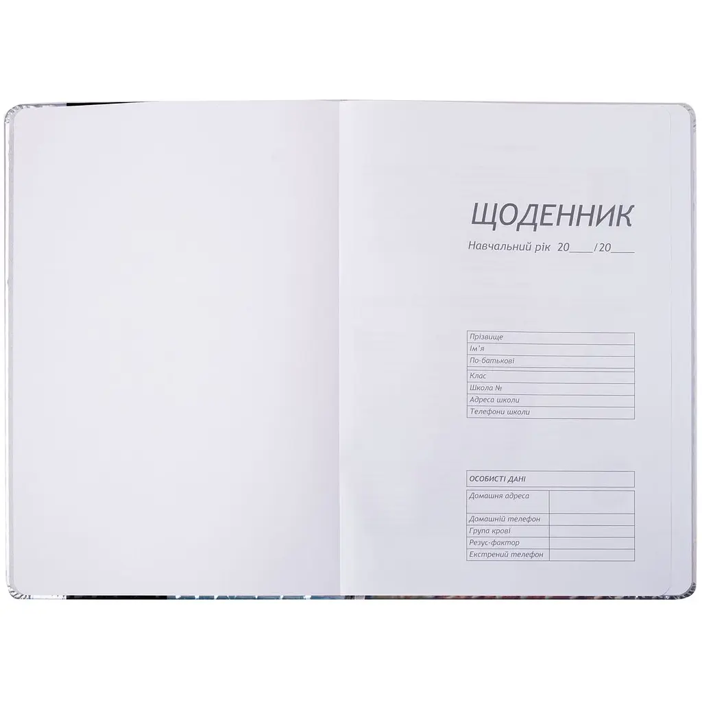 Дневник школьный ZiBi Silver В5 48 листов серебристый (ZB.13214-24) - фото 2