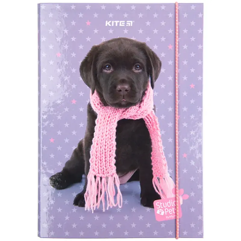 Папка для зошитів Kite В5 на гумці Studio Pets, картон (SP23-210) - фото 2