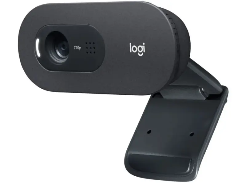 Веб-камера Logitech C505e (960-001372) - фото 3