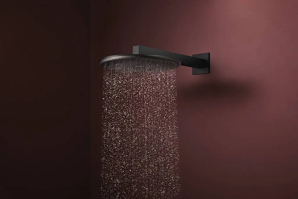 Верхній душ Hansgrohe Raindance Alive S 300 2jet EcoSmart з тримачем matt black 24541670 - фото 2