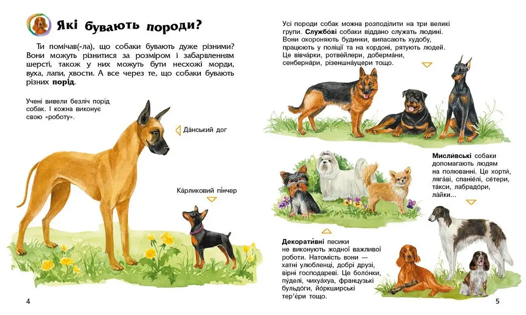 Енциклопедія дошкільника Ранок Собаки - Юлія Каспарова (С614035У) - фото 2