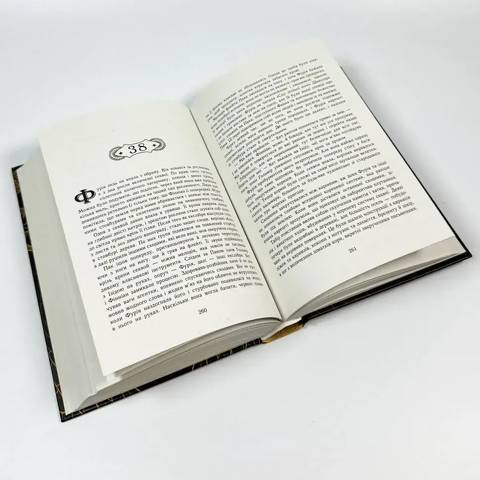Сторінки світу: Простір бібліомантії - Маєр Кай | Ранок, книга українською, нова, тверда - фото 3