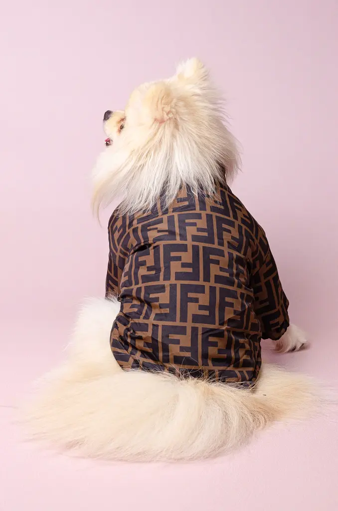 Куртка для собак Fendi з теплою підкладкою на застібці M - фото 3