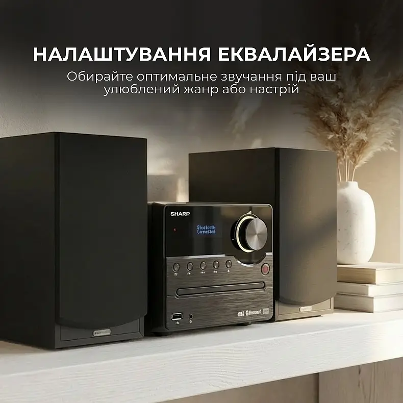 Музыкальный центр Sharp XL-B517D(BK) Black - фото 8