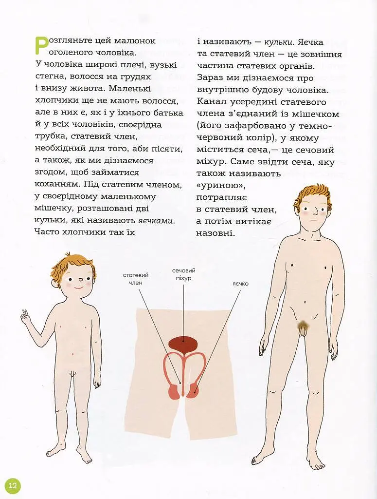 Енциклопедія статевого життя. 7-9 років - фото 6