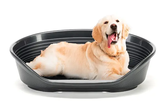 Пластиковий лежак для собак і котів Ferplast Siesta Deluxe 12 чорний 111×80,5×33,5 см 70212917 - фото 4
