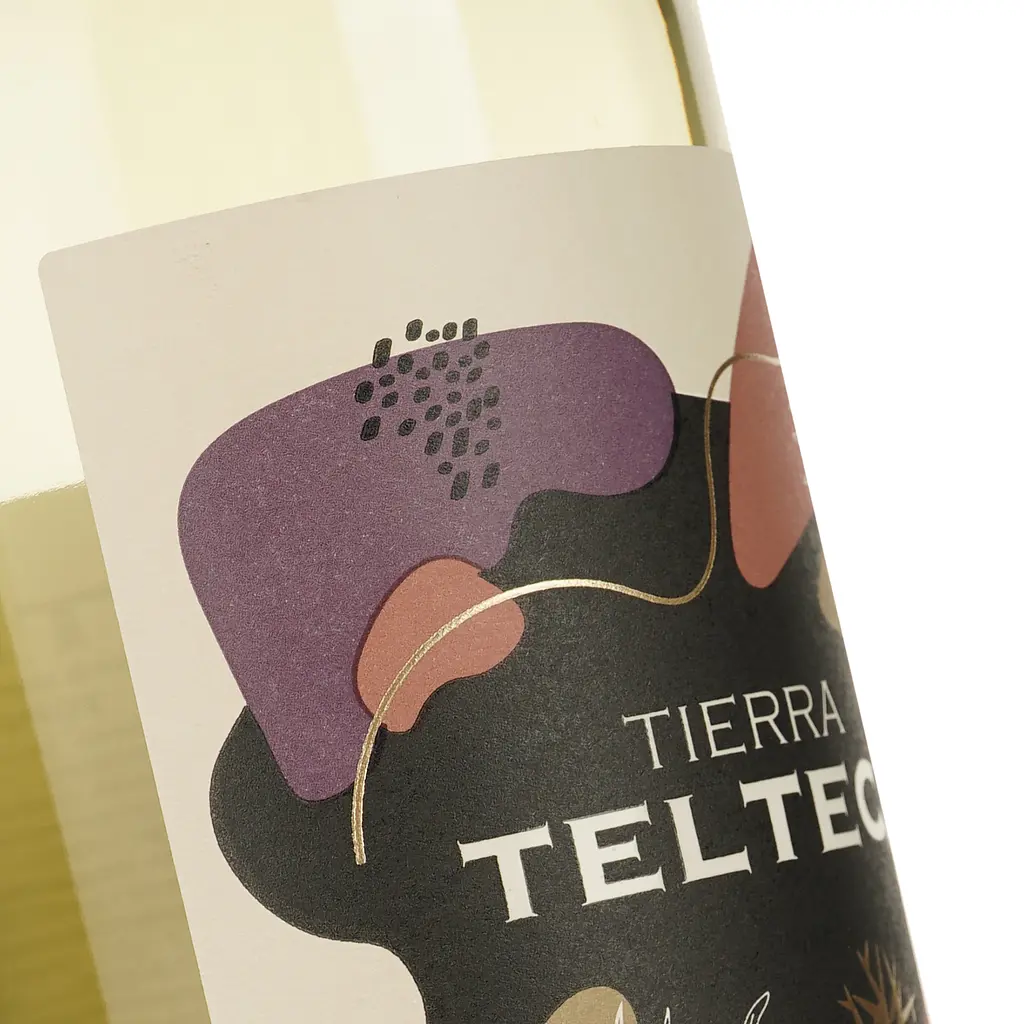 Вино Tierra Telteca Torrontes белое сухое 0.75 л - фото 3
