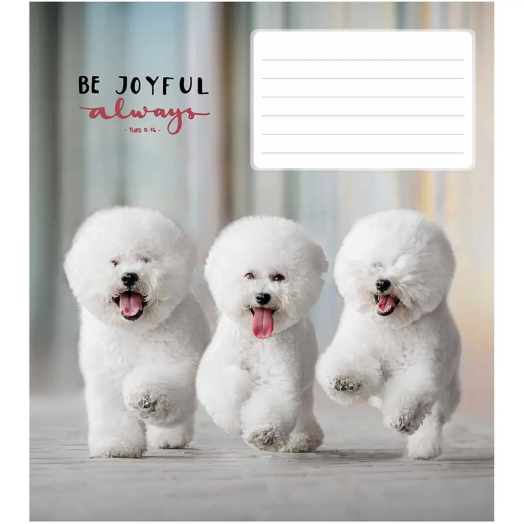 Зошит учнівський Школярик Be joyful always в лінію 18 аркушів 25 шт. (018-3263L) - фото 2