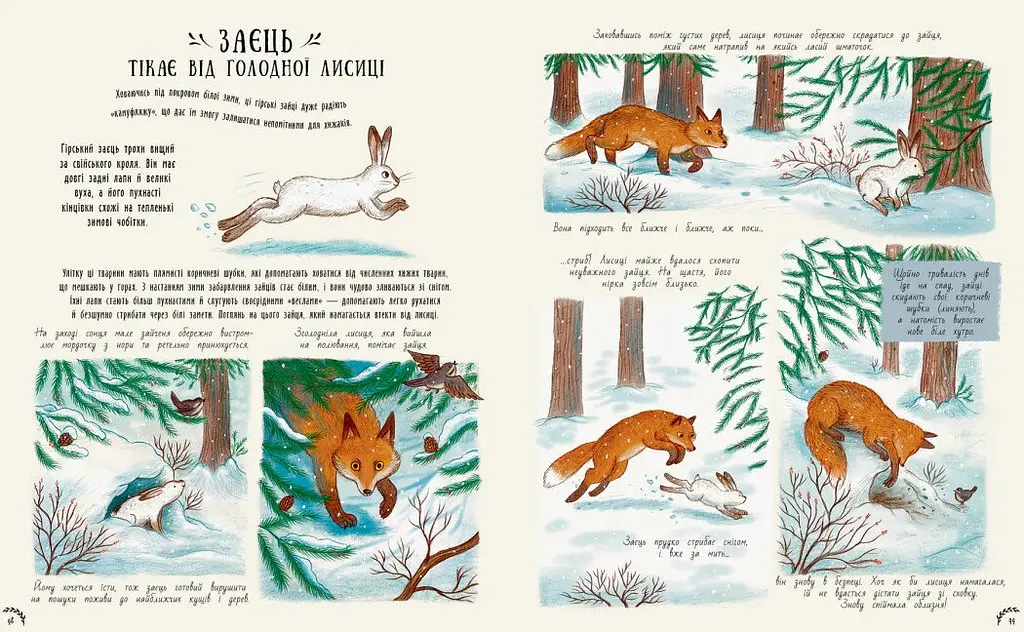 Книга Ранок Маленькі дива природи - Рейчел Вільямс (С902272У) - фото 2