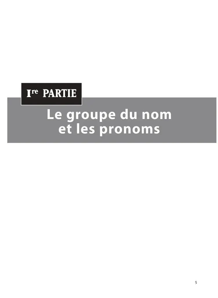 Les 500 Exercices de Grammaire. Livre + corrigés intégrés A1 - Джоель Боненфант - фото 5