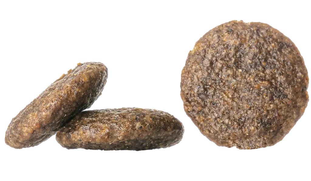 Беззерновой сухой корм для собак средних и больших пород склонных к аллергии и с чувствительным пищеварением Happy Dog Adult Supreme Sensible Africa, страус и картофельные чипсы, 4 кг (3547) - фото 2