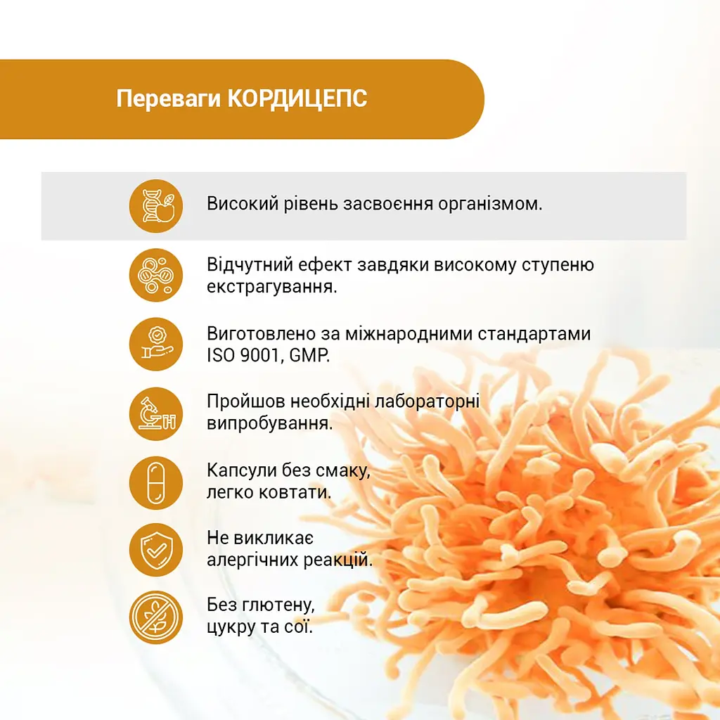 Диетическая добавка Кордицепс Супер 60 капсул - фото 7