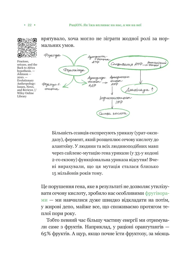 РаціON. Як їжа впливає на нас, а ми на неї - Ірина Виговська - фото 18
