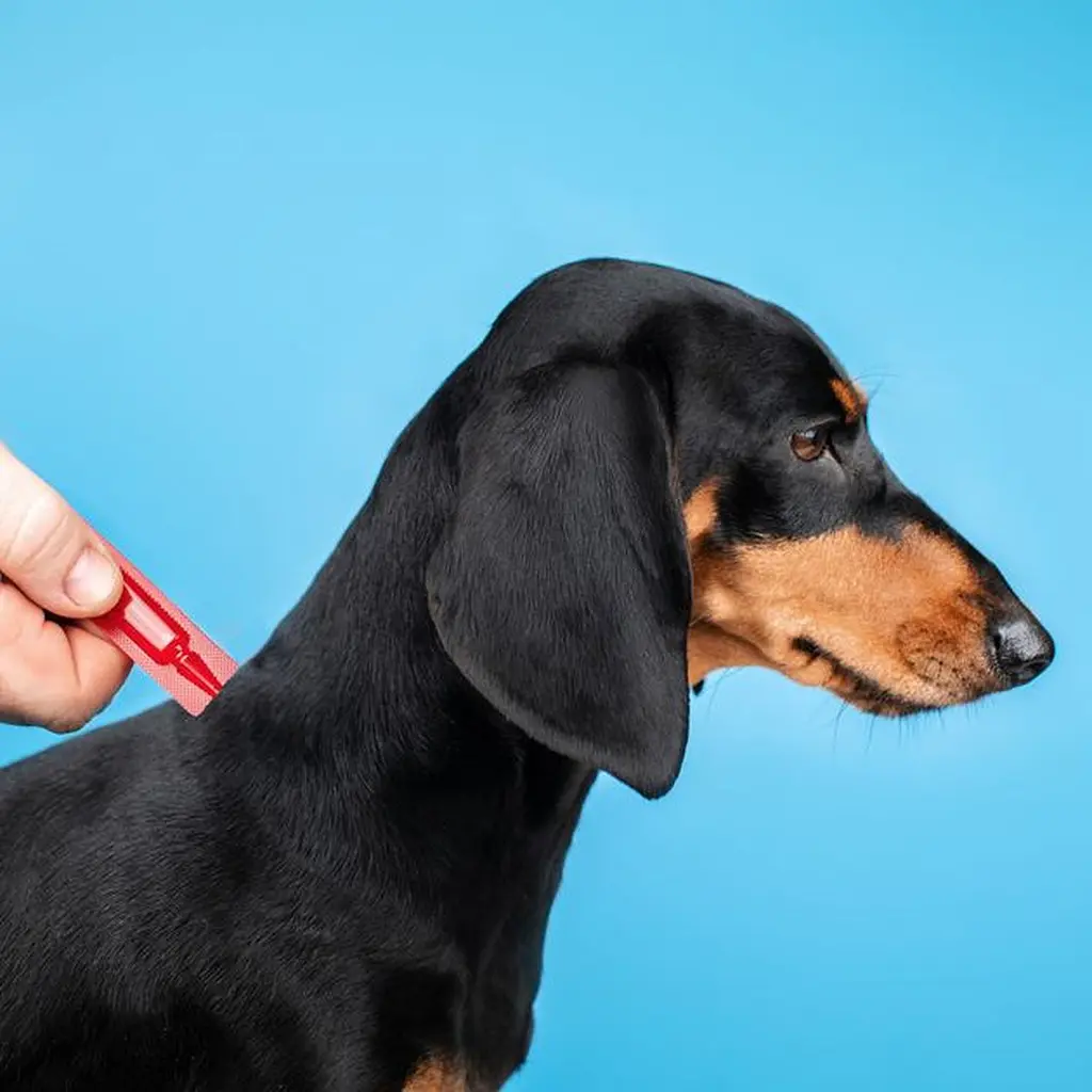 Капли на холку для собак ProVET Profiline от внешних паразитов от 10 до 20 кг 4 пипетки по 2 мл - фото 5