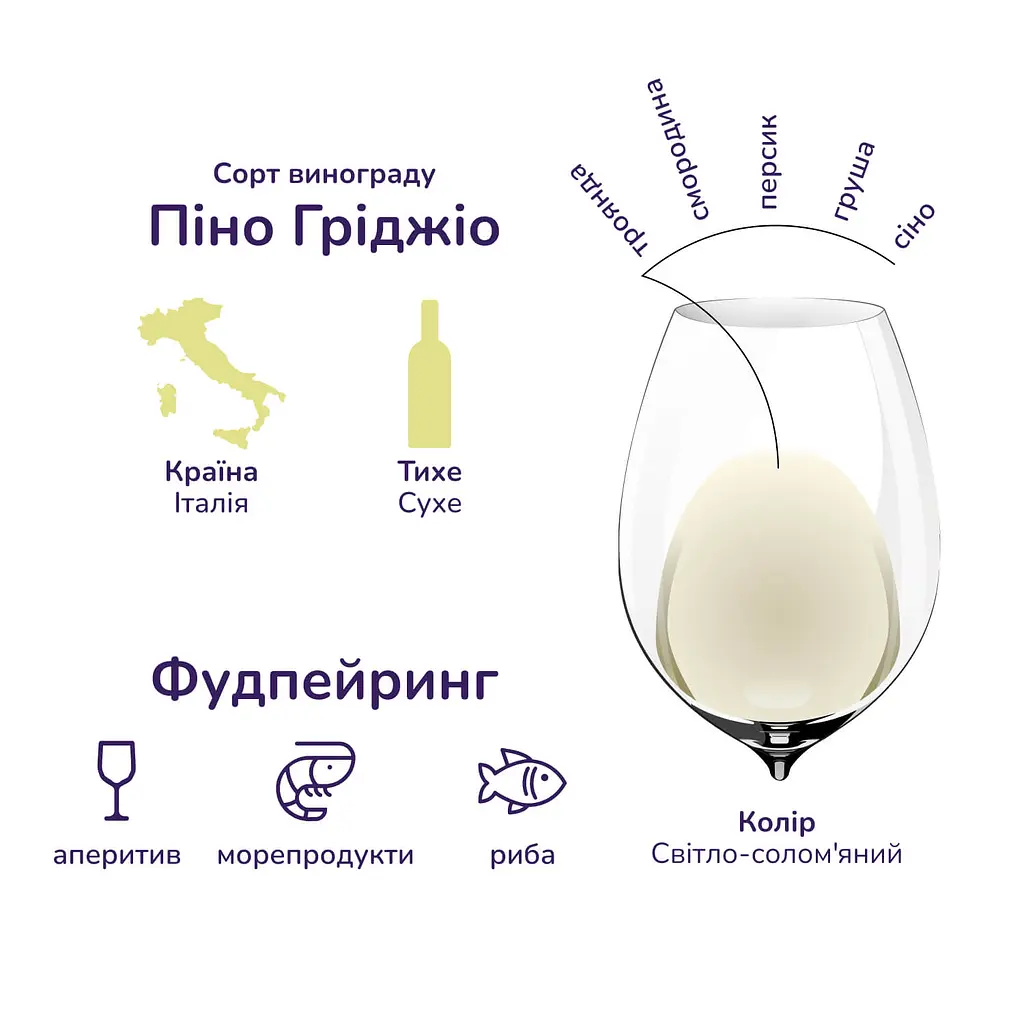 Упаковка вина Gerardo Cesari Pinot Grigio delle Venezie белое сухое 4.5 л (0.75 л x 6 шт.) - фото 3