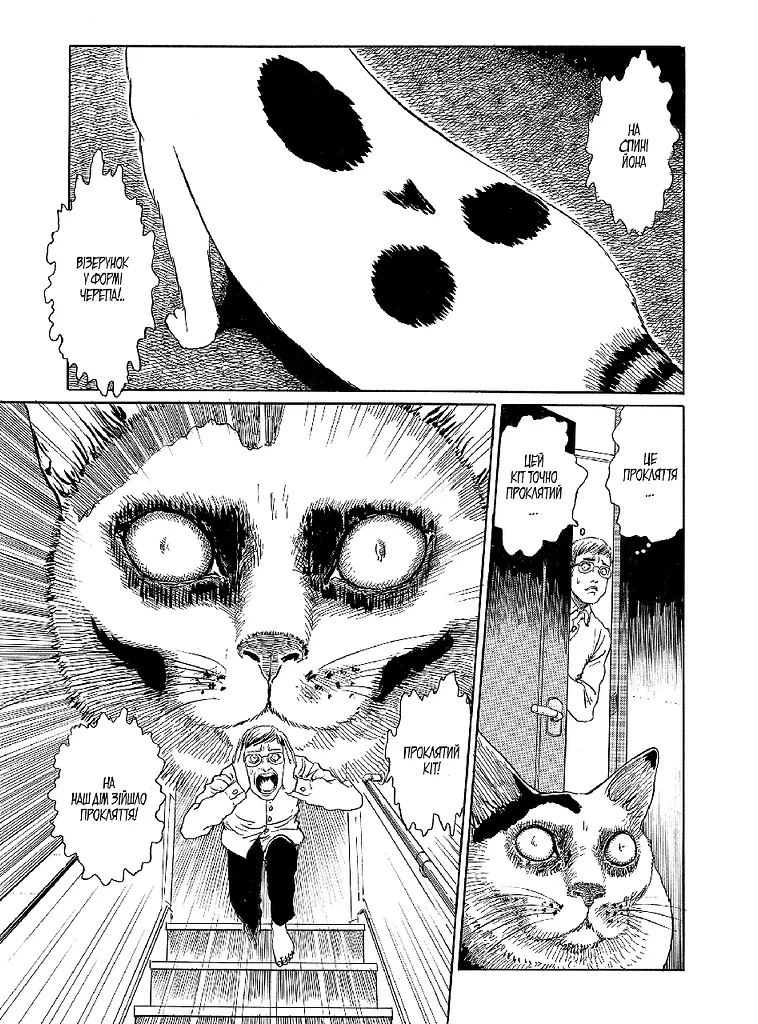 Манга Molfar Comics Котячий щоденник Джюнджі Іто : Йон та Му Ito Junji's Cat Diary українською M MC IJ CD - фото 3