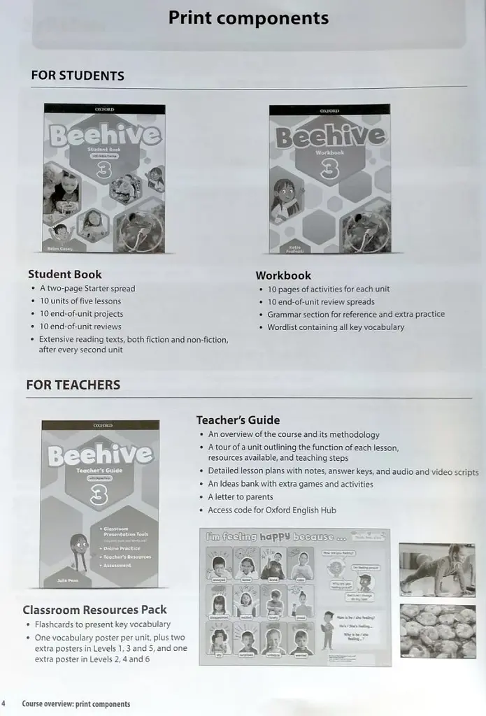Beehive: Level 3: Teacher's Guide with Digital Pack - фото 5