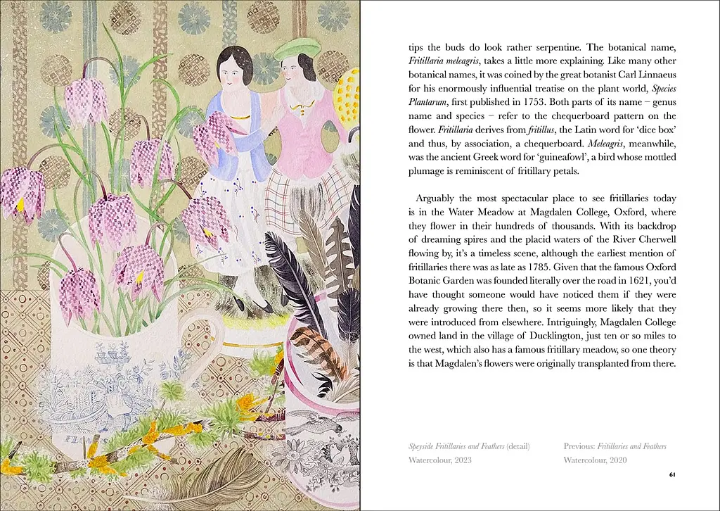 The Book of Wild Flowers - фото 5