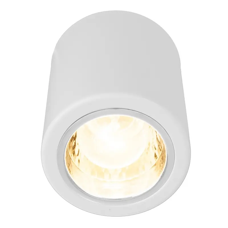 Подсветка тубус Brille направленного света накладная AL-83/1 E27 SWH 26-825 - фото 7