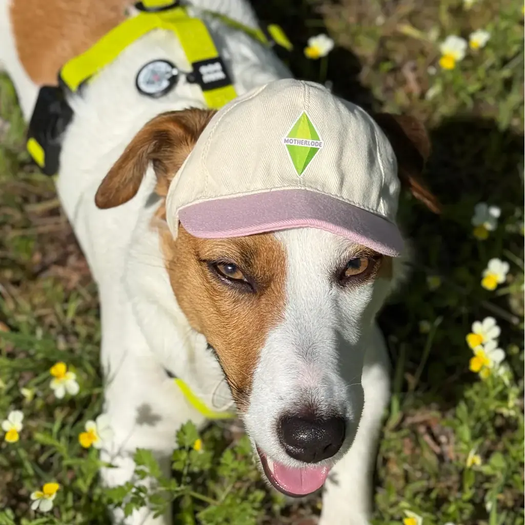 Бейсболка для собак Hat-Dog Sims рожева (XL) - фото 7