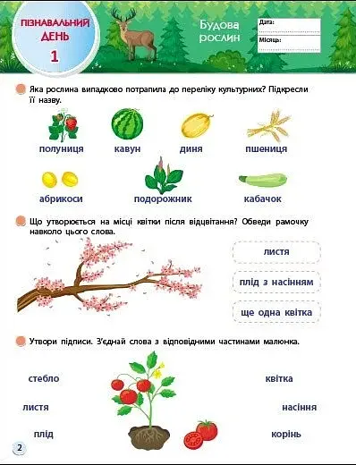 Тренувальний зошит. SMARTліто. Іду у 3 клас - фото 3