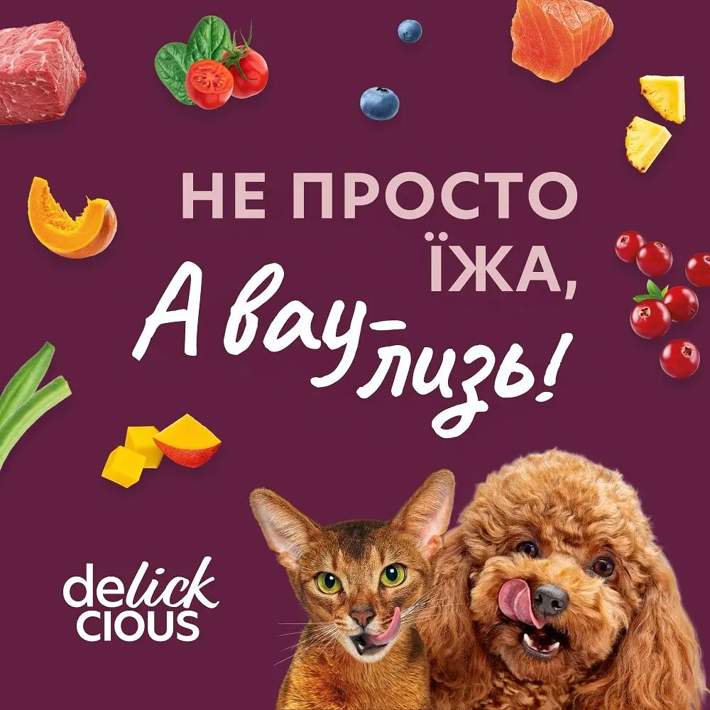 Влажный корм для собак Delickcious Хлопья с индейкой и тропическими фруктами в сливочном соусе 85 г - фото 8