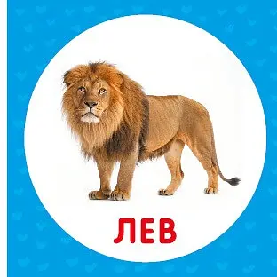 Дикі тварини. Перша книжка малюка - фото 6