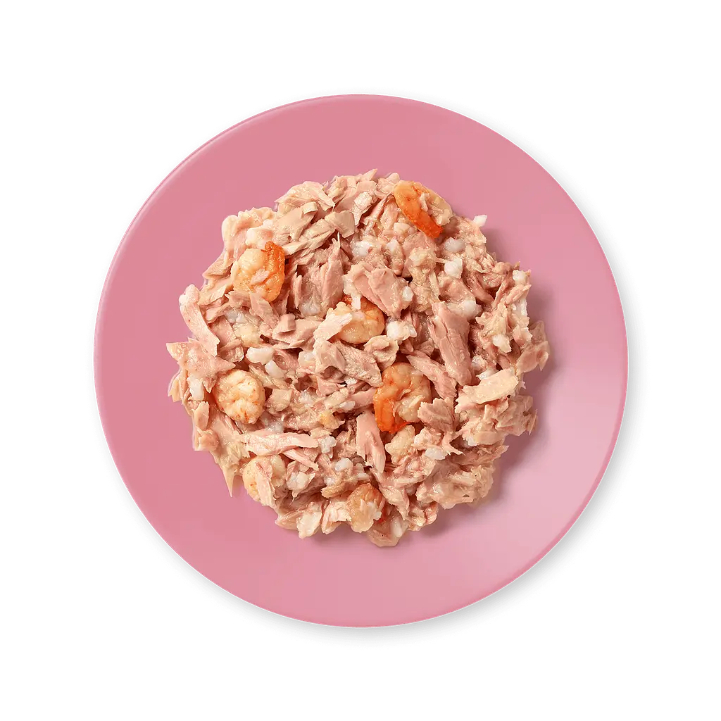 Консерви для котів Applaws Tuna Fillet with Prawn тунець з креветками 60 г - фото 2