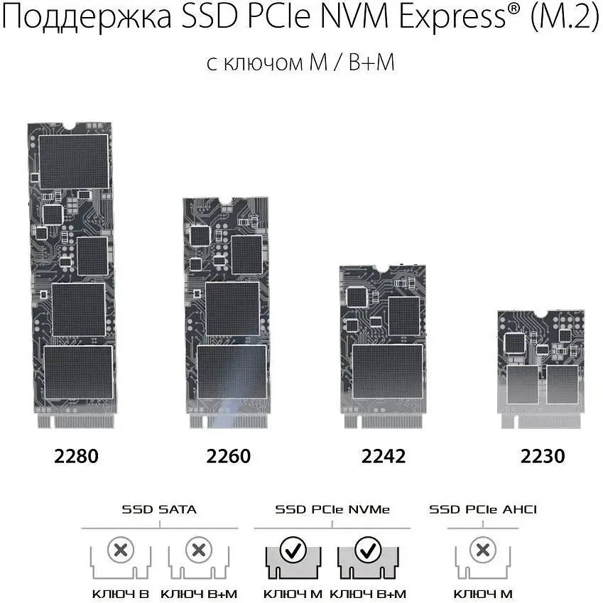 Зовнішня кишеня Asus ROG Strix Arion для SSD M.2 PCIe NVMe ESD-S1C/BLK/G/AS [69862] - фото 5