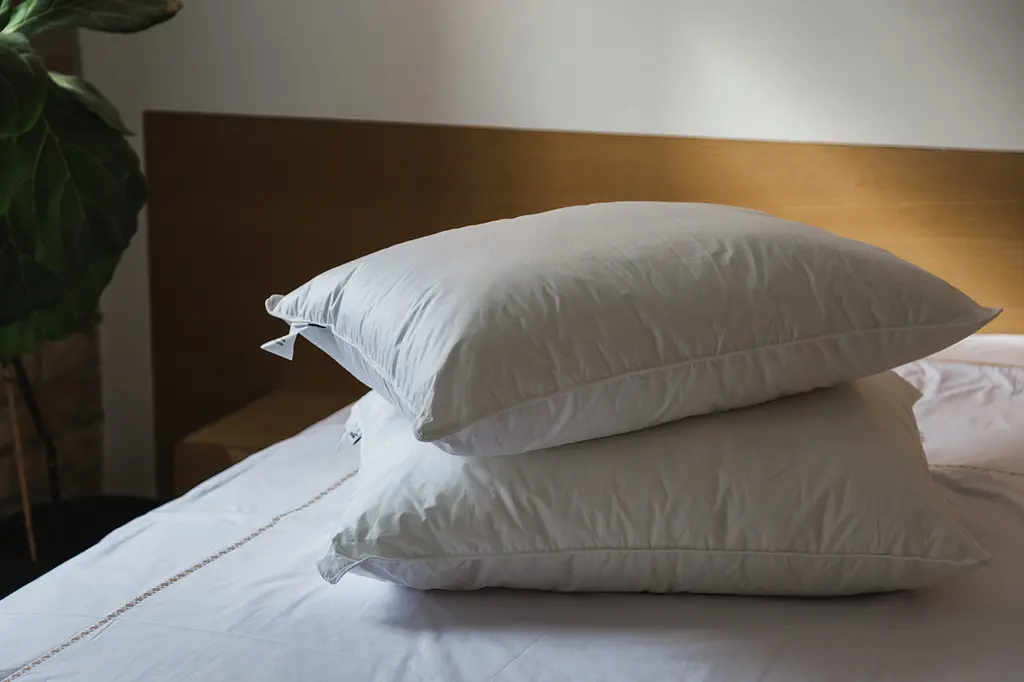 Подушка Ecotton 50х70 см Ecofill Premium антиалергенна з біопухом біла в чохлі для зберігання White (25069) - фото 6