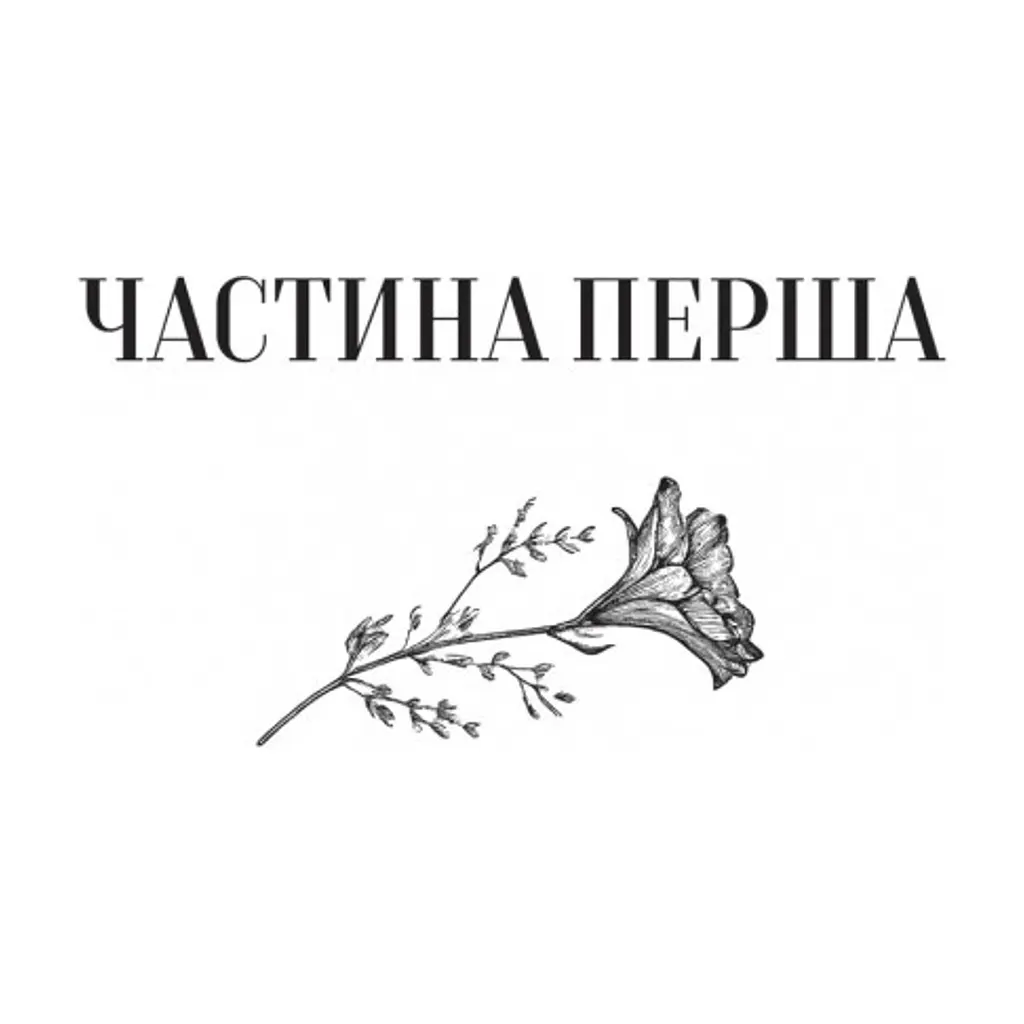 Книга Те, що видно звідси - Маріана Лекі Vivat (9786171703018) - фото 3