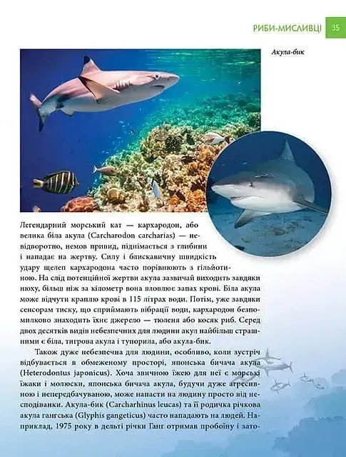 Найнебезпечніші істоти планети. Енциклопедія для допитливих - Андрій Гапченко - фото 6