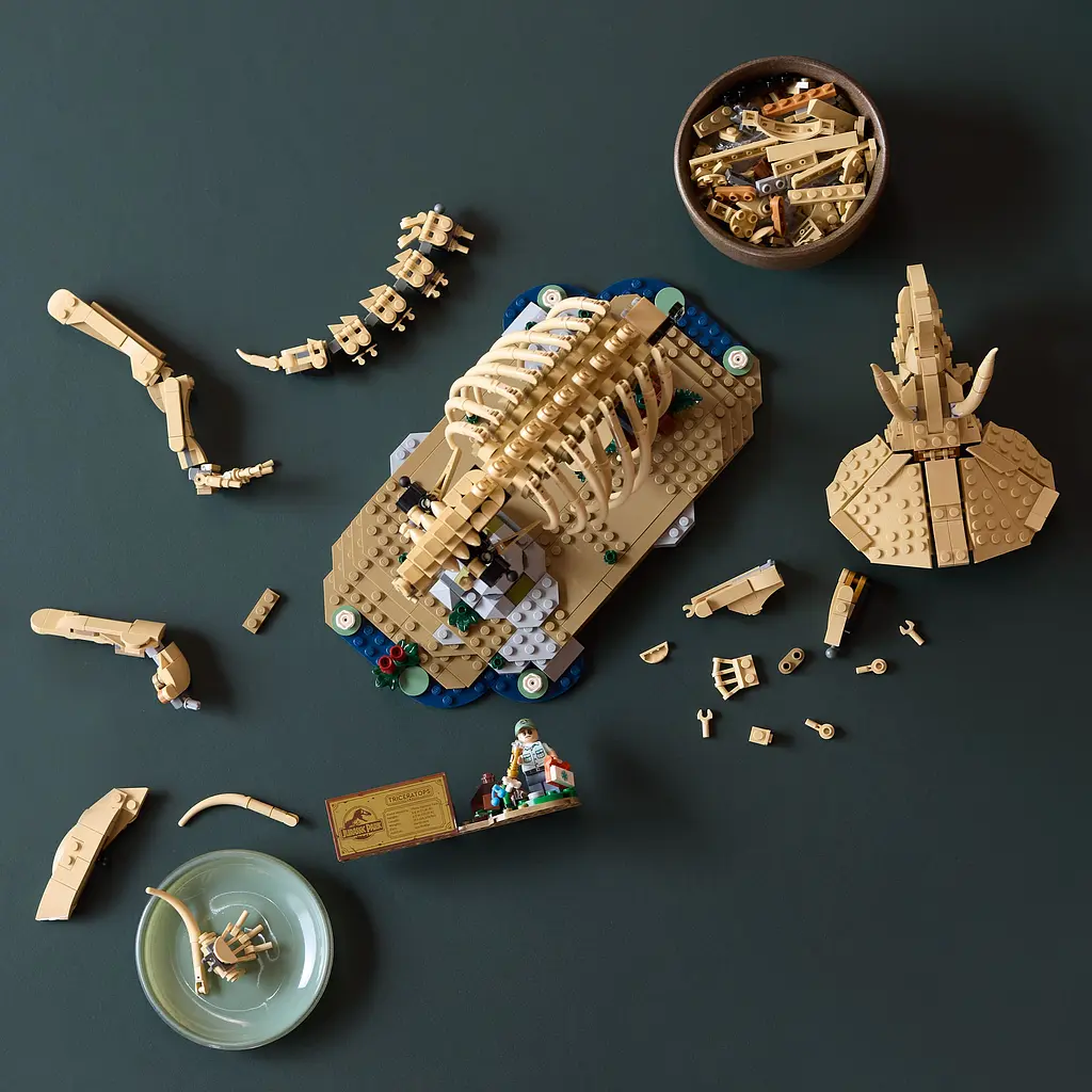 Конструктор LEGO Jurassic World Скамʼянілості динозаврів: трицератопс (77985) - фото 14