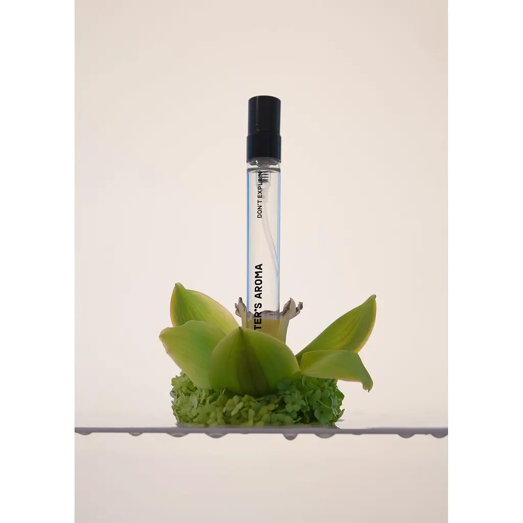 Парфюмированная вода Sister's Aroma Don’t explain 10 мл - фото 2