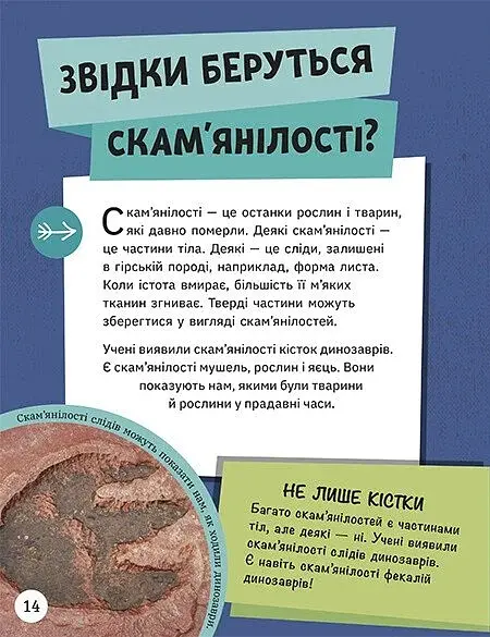 Енциклопедія юних розумників - фото 3
