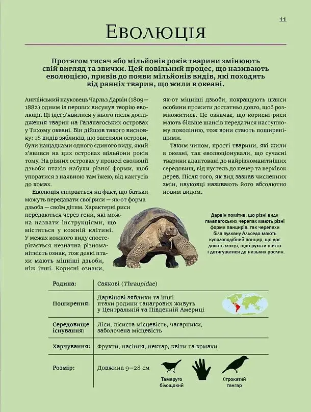 Велика книга тварин - фото 11