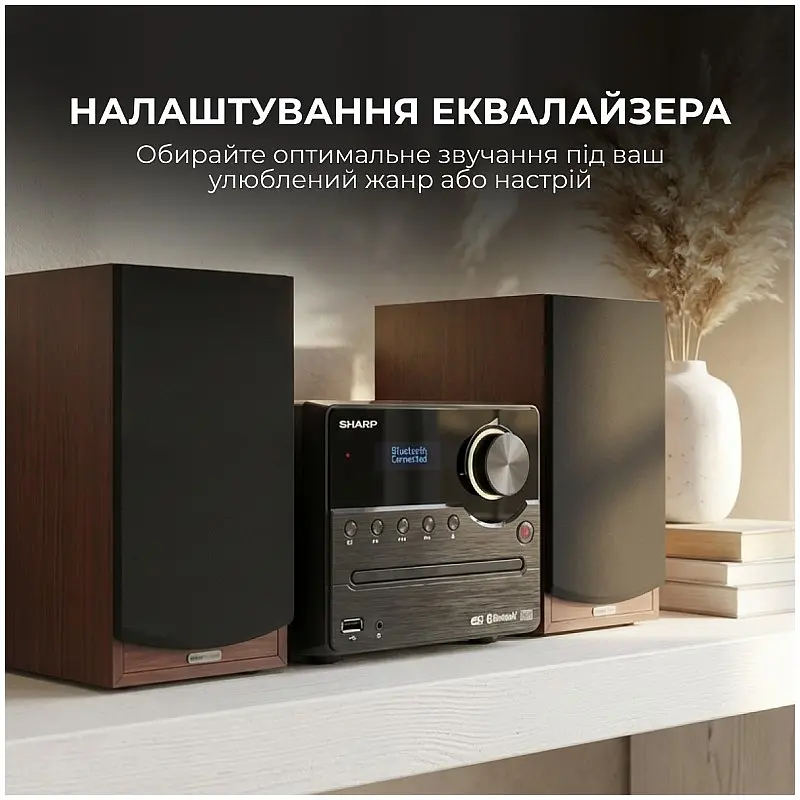 Мікросистема Sharp Micro Sound System Brown (XL-B517D(BR)) - фото 6