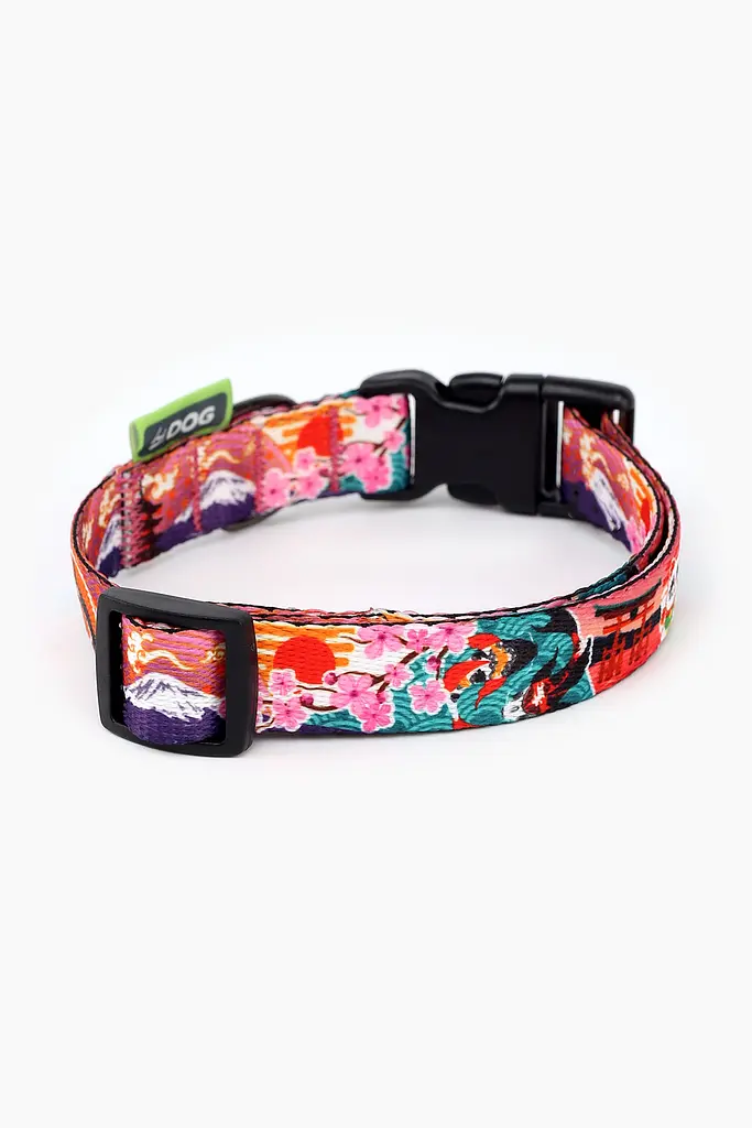 Нашийник ТМ HIDOG Japan, розмір M (ширина 20мм (30-40 cм)) (2100102267016A)(SN) shop (2100102267016) - фото 2