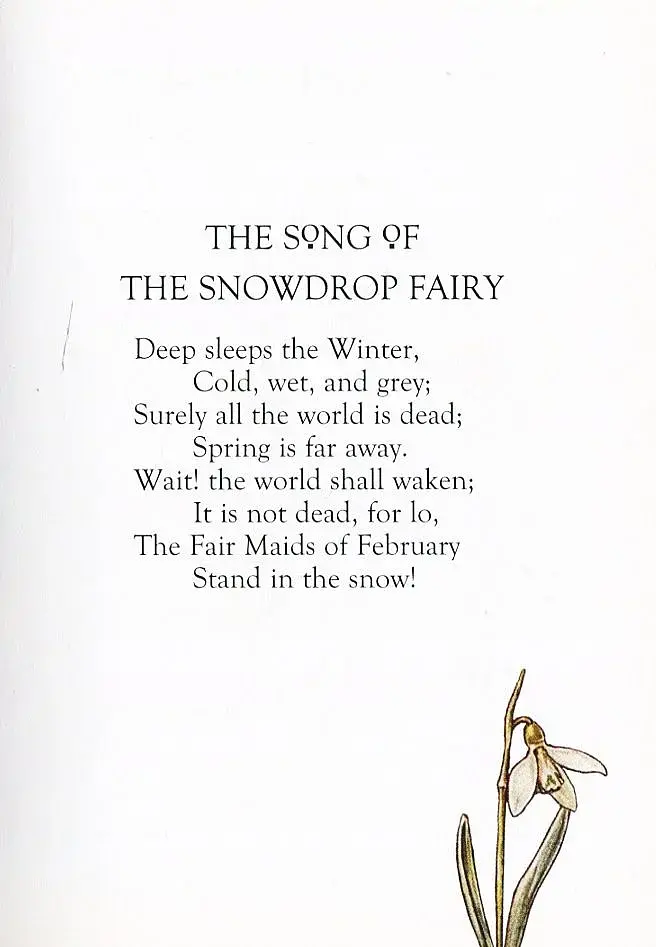 Flower Fairies of the Winter - фото 5