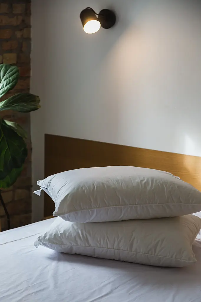 Подушка Ecotton 50х70 см Ecofill Premium антиалергенна з біопухом біла в чохлі для зберігання White (25069) - фото 4