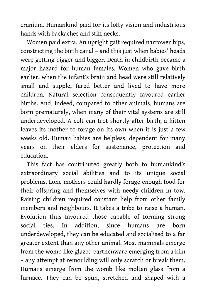 Sapiens. A Brief History of Humankind - фото 12