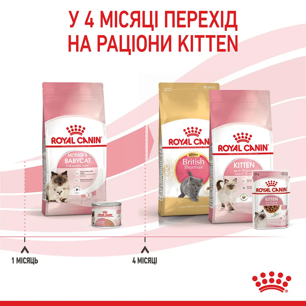 Сухой корм для котят Royal Canin Mother and Babycat мясо птицы и рис 0.4 кг - фото 7