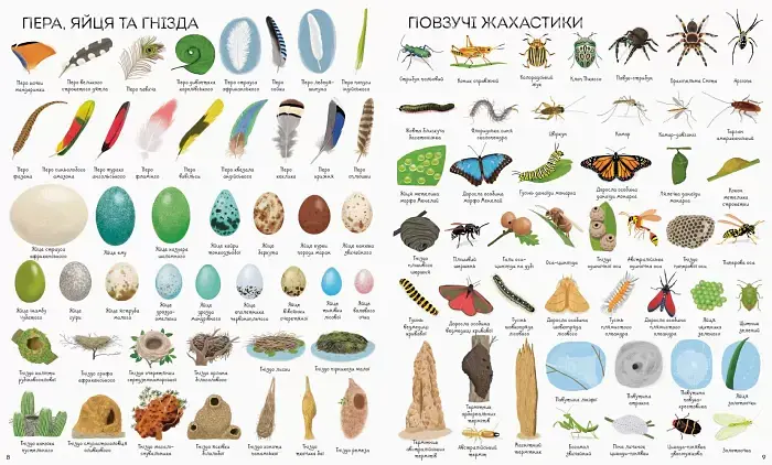1000 назв природи - Ханна Вотсон - фото 4