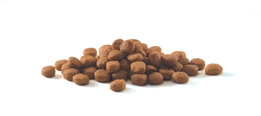 Сухий корм для дорослих домашніх котів Purina One Indoor з індичкою та цільними злаками 3 кг (12485656) - фото 8
