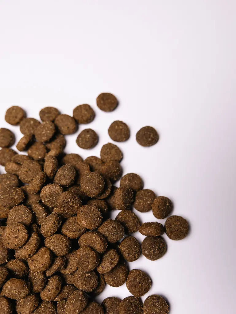 Сухой корм для щенков крупных пород Savory Junior Large rich in Fresh Turkey & Chicken со свежим мясом индейки и курицы 12 кг - фото 4