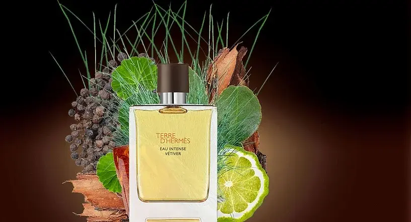 Парфюмерная вода Terre d'hermes Eau Intense Vetiver 50 ml - фото 5